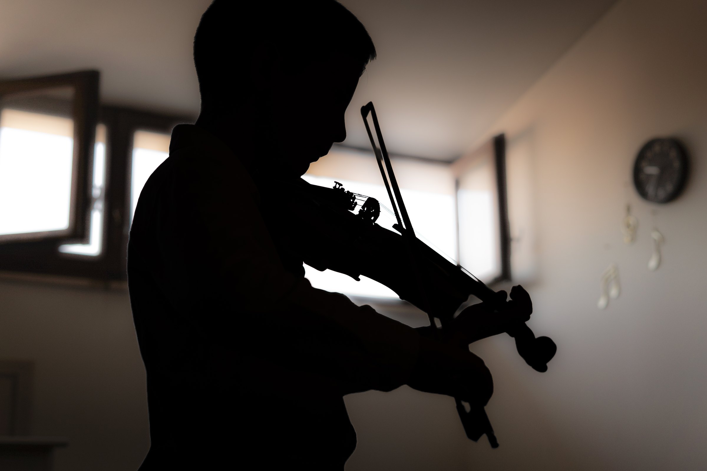 Musicista dell'Istituto